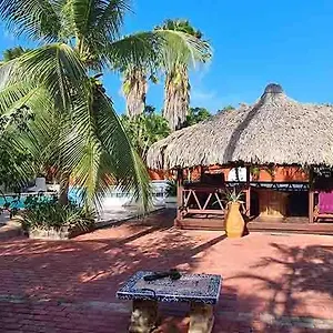 Woodstock Palmresort Curacao Curaçao